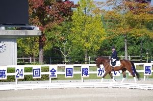 第25回全国障がい者馬術大会＆第1回全日本パラ馬術大会