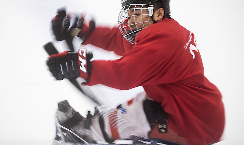 スポーツとして扱われているパラアイスホッケー　～パラスポーツ海外事情・アメリカ編～