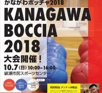 かながわボッチャ2018の画像