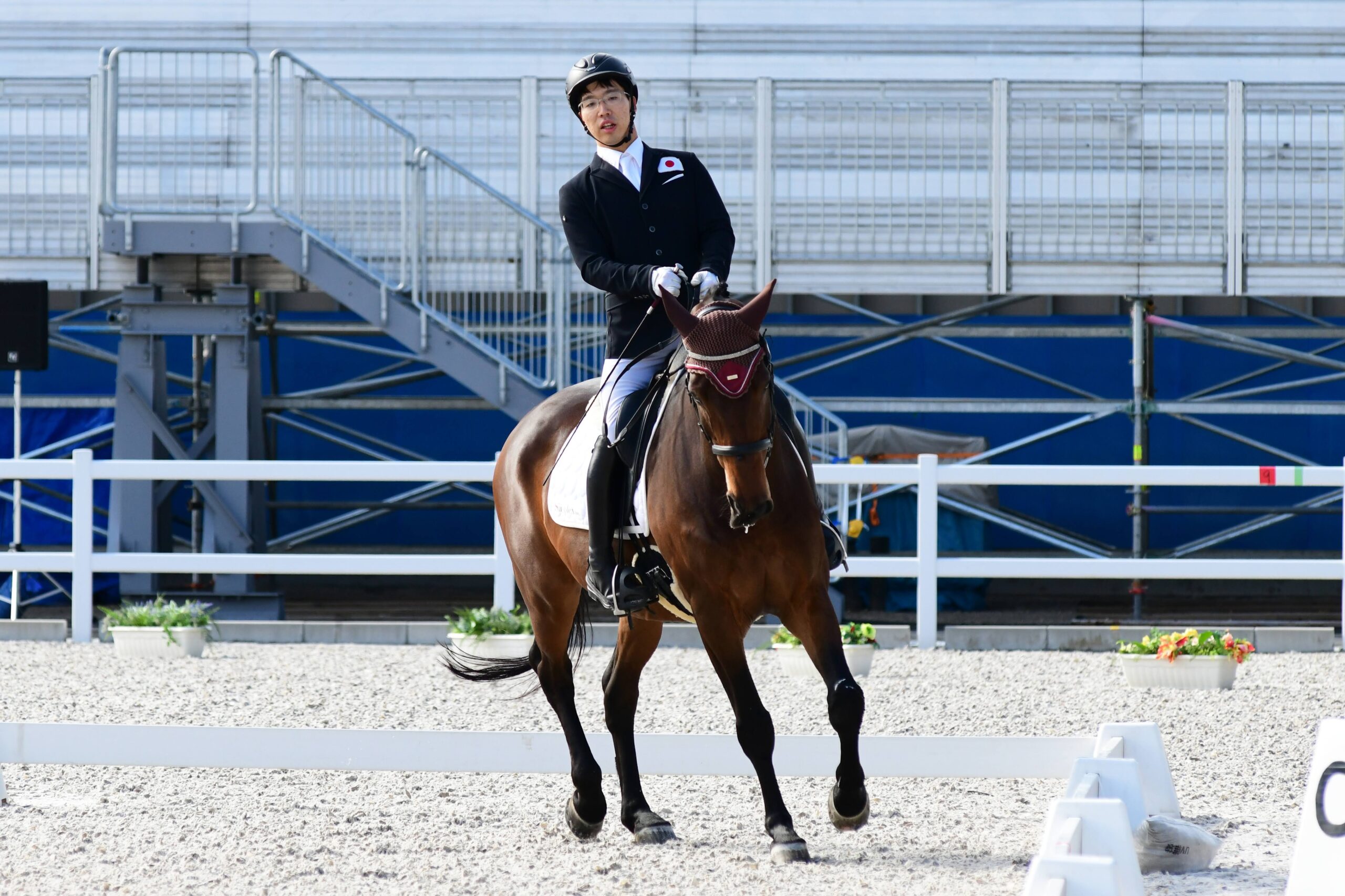 「第4回全日本パラ馬術大会」でTEAM BEYONDリモート観戦会、オンライン交流会を開催！人馬一体の華麗な競技を自宅で堪能