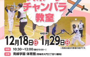 スポーツチャンバラ教室(青峰)の画像