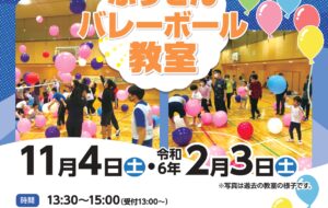 ふうせんバレーボール(白鷺)